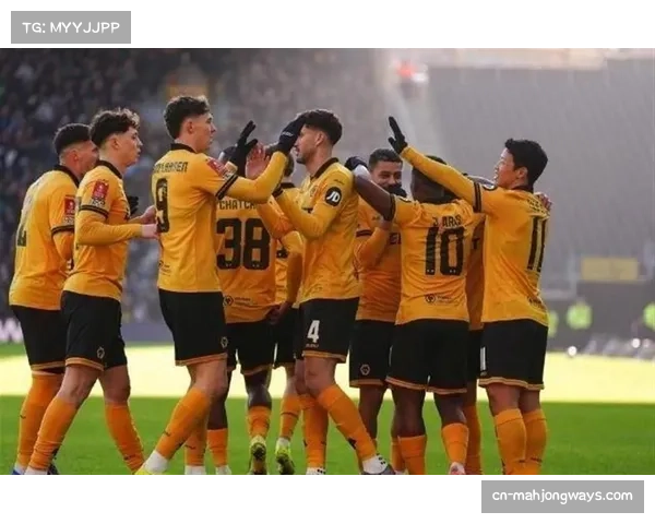 狼队全队仅打入9球 攻击力不足成保级最大障碍